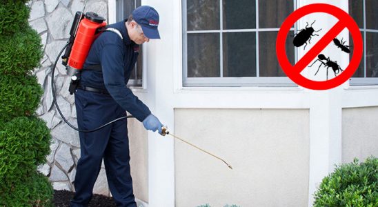 Sinanpaşa Akrep İlaçlama böcek ilaçlama ve haşere kontrolü — ilaclama-tr.com